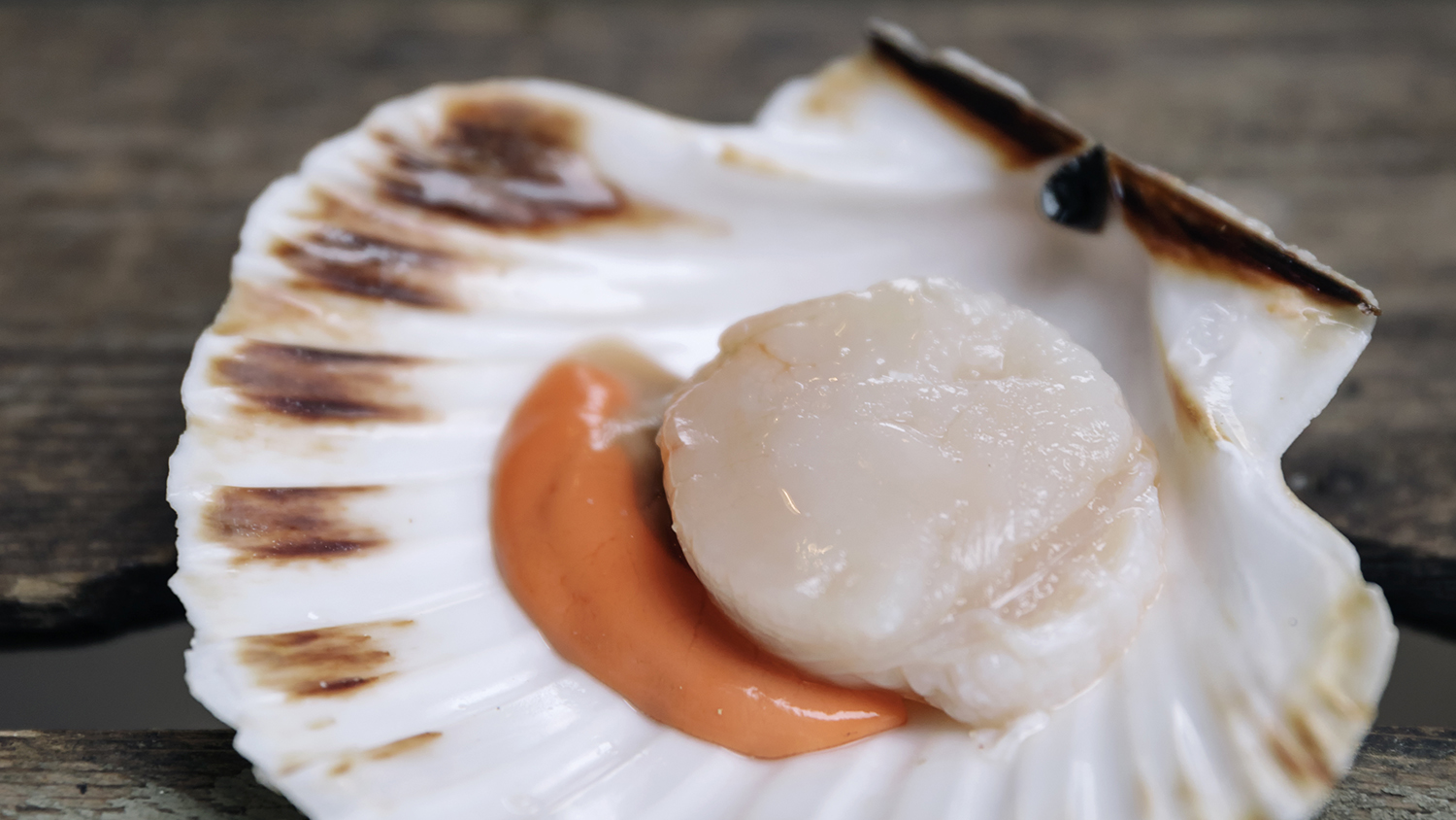In Praise Of Scallops 1 