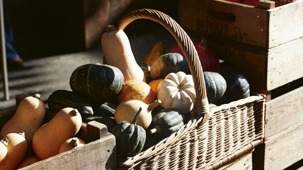 https://boroughmarket.org.uk/wp-content/uploads/2023/10/A-few-ways-with-pumpkin-and-squash-1024x576.jpg