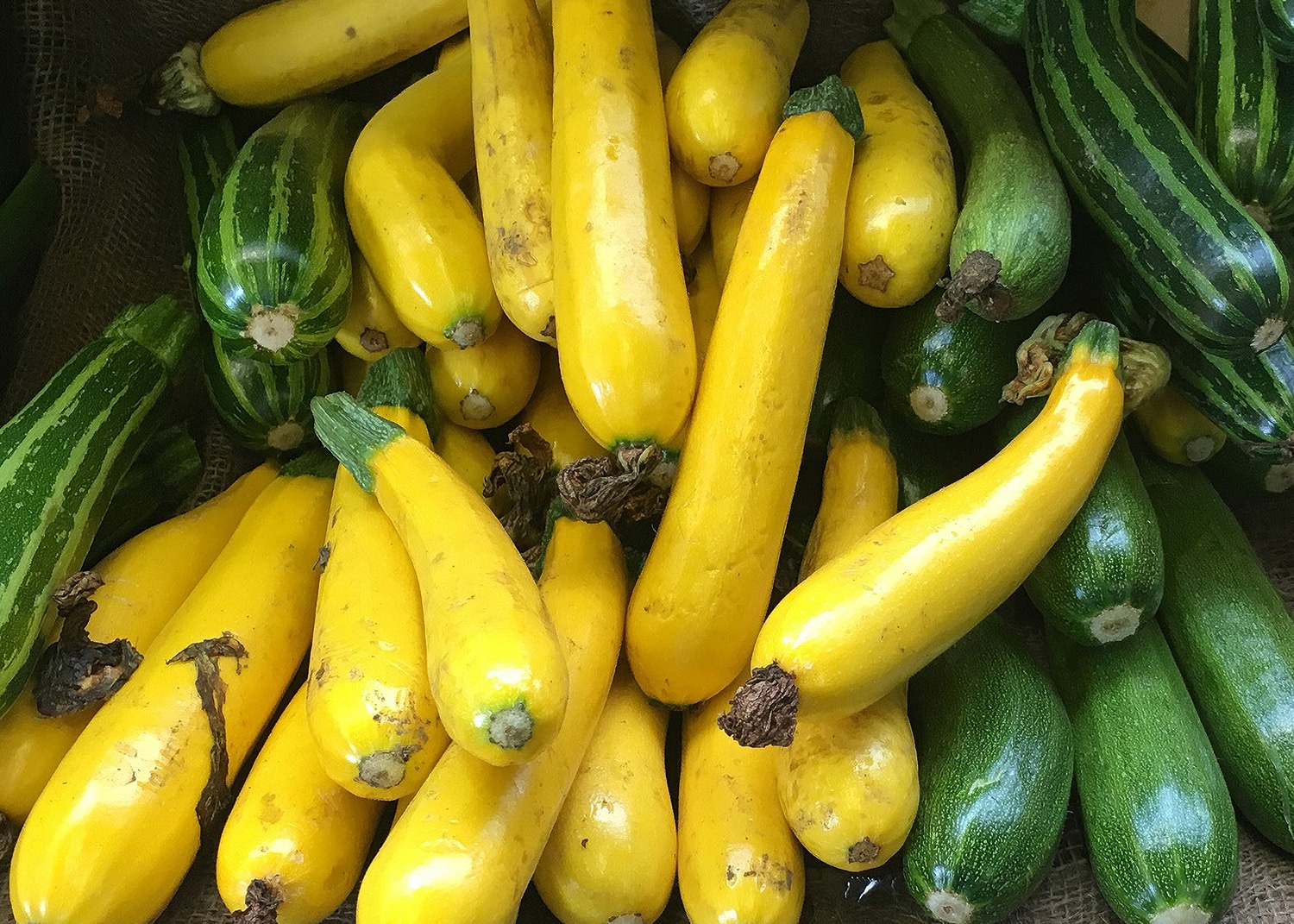 A pile of courgettes at Borough Market