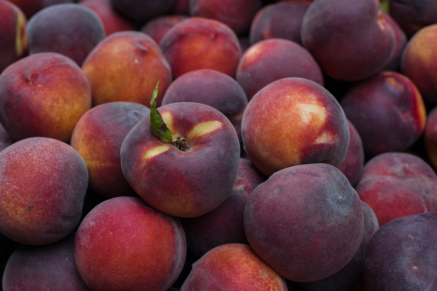 A pile of peaches at Borough Market