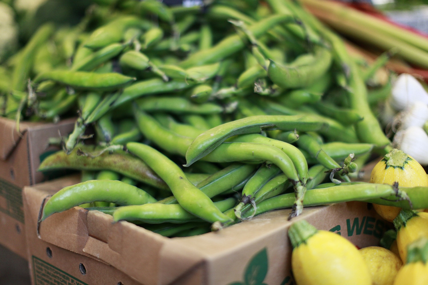 A pile of fresh peas at Borough Market