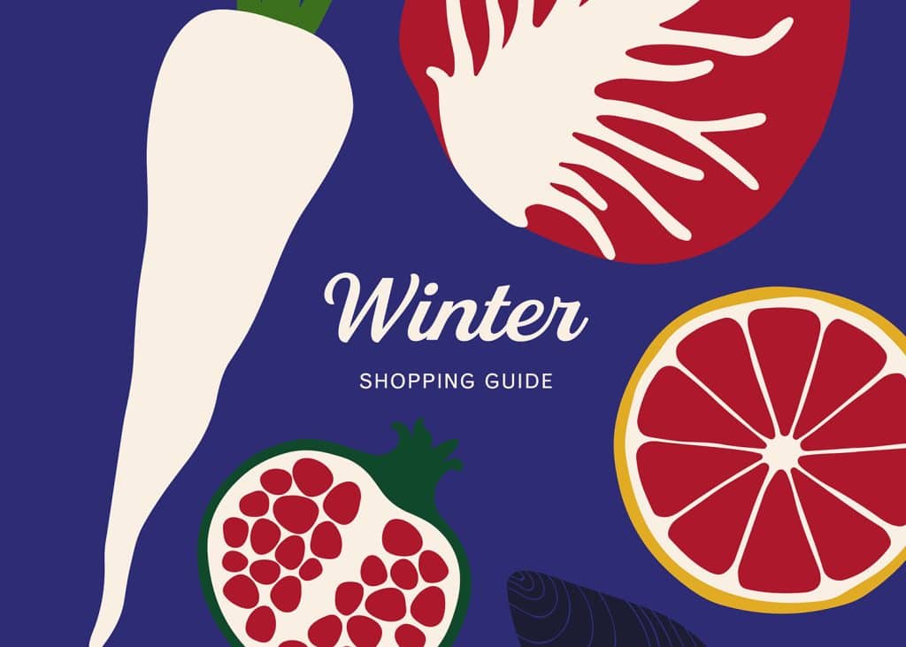 Front cover of winter shopping guide