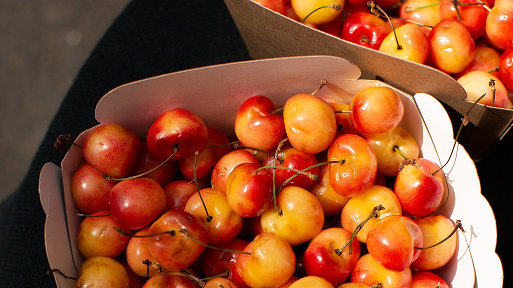 English cherries at Borough Market
