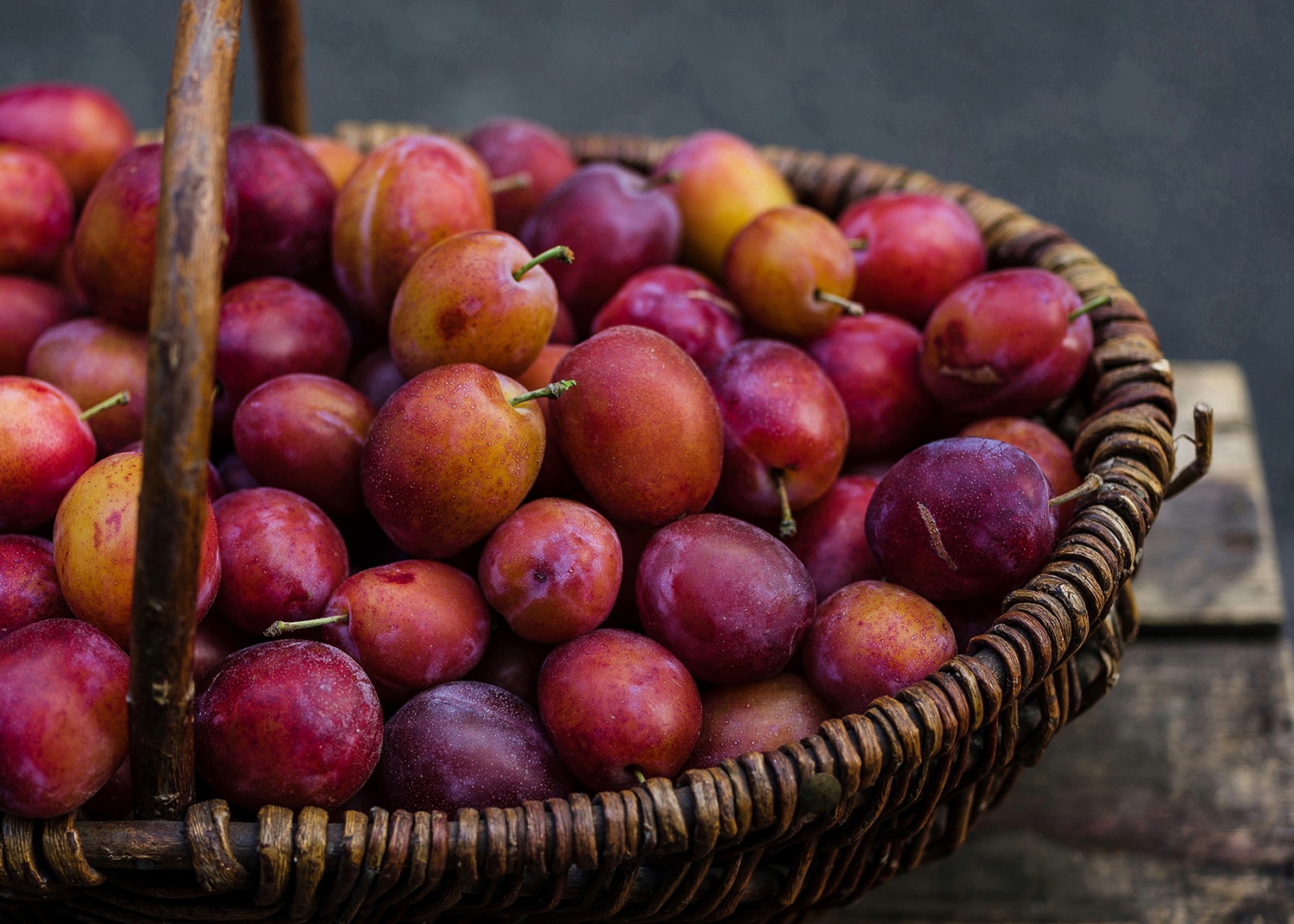 A basket full of victoria plums
