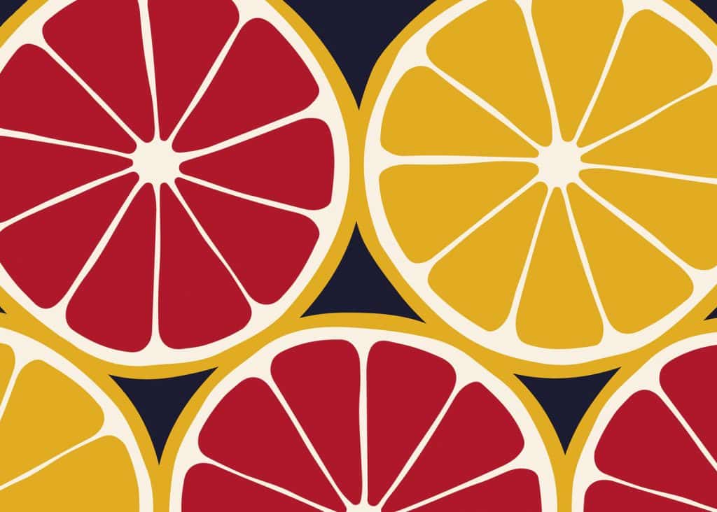 An illustration of winter citrus fruits