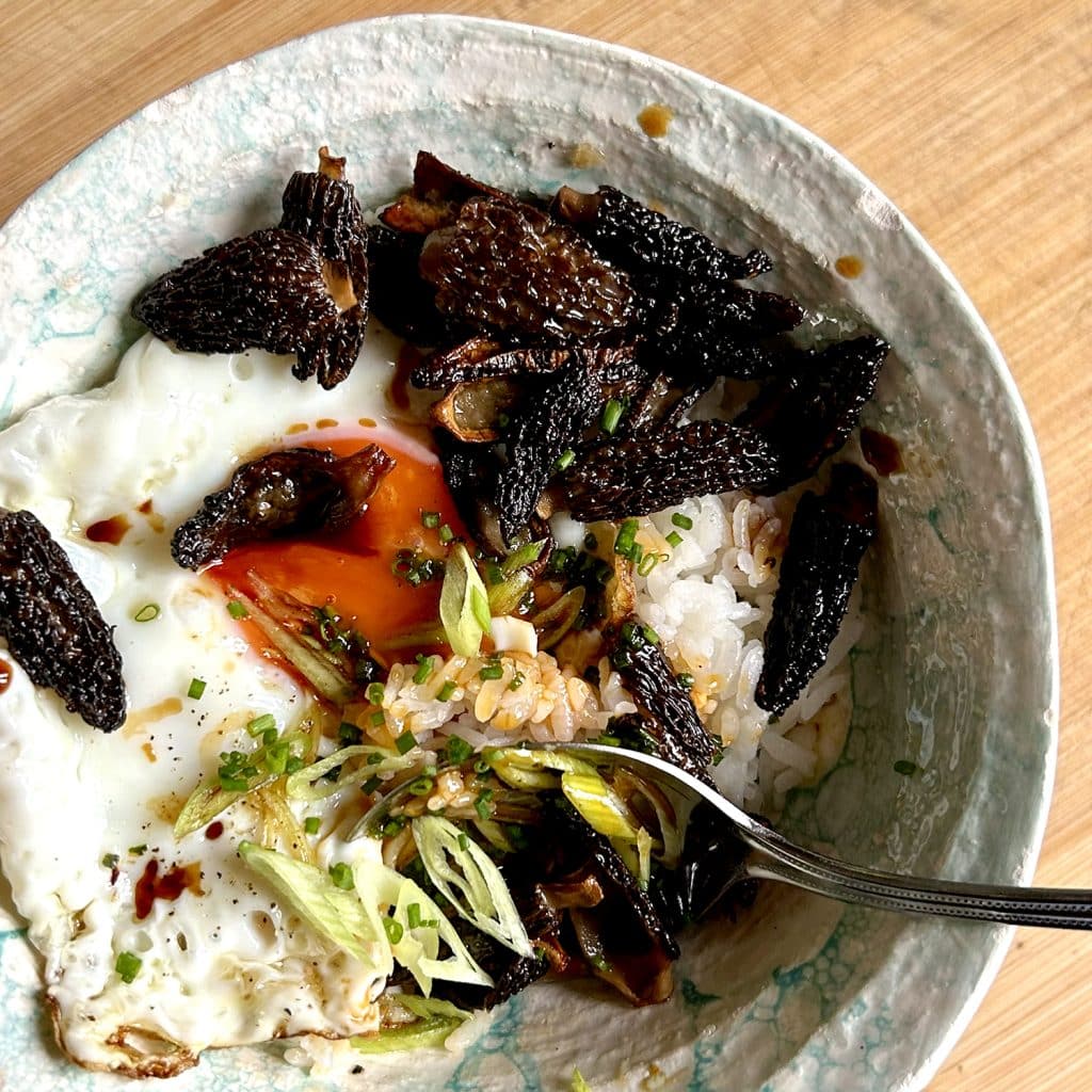 Rice bowl with sauteed morels and egg